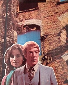 The Mourning Brooch (1979) - Stream Online