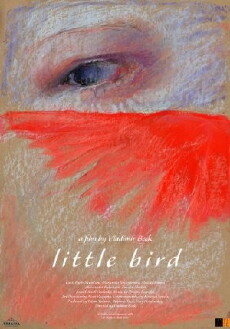 Little Bird (2014) - Stream Online