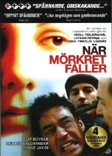 When Darkness Falls (2006) - Stream Online