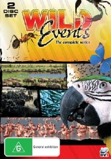 Wild Events (2007) - Stream Online