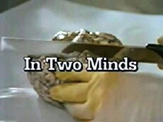 Madness (1991) - Stream Online