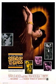 Splendor in the Grass (1961) - Stream Online