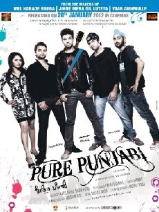 Pure Punjabi (2012) - Stream Online