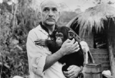 O Quinto Macaco (1990) - Stream Online