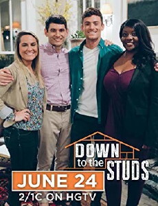 Down to the Studs (2017) - Stream Online