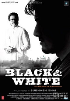 Black & White (2008) - Stream Online