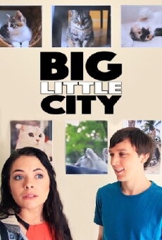 Big Little City (2017) - Stream Online