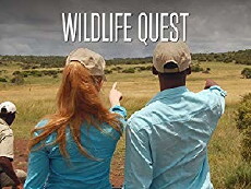 Wildlife Quest (2016) - Stream Online