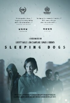 Sleeping Dogs (2013) - Stream Online