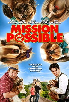 Mission Possible (2018) - Stream Online