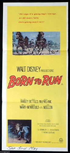 Born to Run (1977) - Stream Online