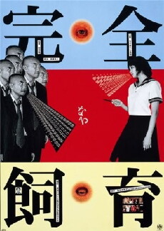 The Perfect Education (1999) - Stream Online