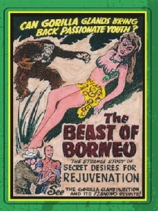 The Beast of Borneo (1934) - Stream Online