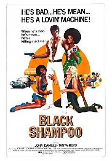 Black Shampoo (1976) - Stream Online