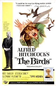 The Birds (1963) - Stream Online