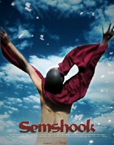 Semshook (2010) - Stream Online