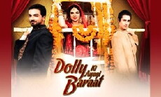 Dolly Ki Ayegi Baraat (2010) - Stream Online