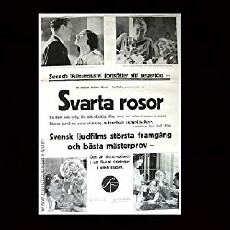 Svarta rosor (1932) - Stream Online
