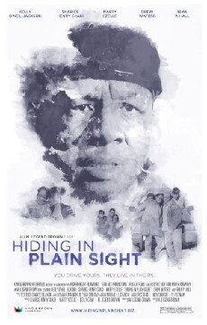 Hiding in Plain Sight (2012) - Stream Online
