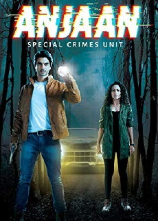 Anjaan: Special Crimes Unit (2018) - Stream Online