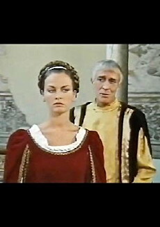 L'ulivo e l'alloro (1991) - Stream Online