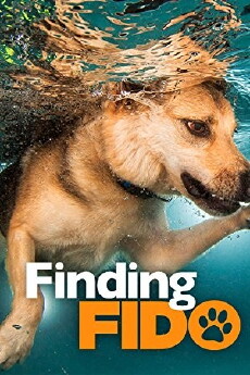 Finding Fido (2017) - Stream Online