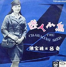Mi ren xiao niao (1967) - Stream Online