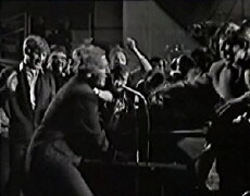 Whole Lotta Shakin (1964) - Stream Online