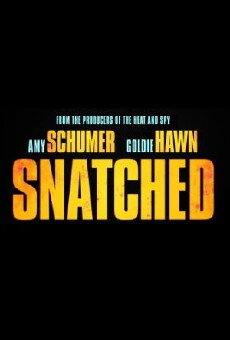 Snatched (2017) - Stream Online