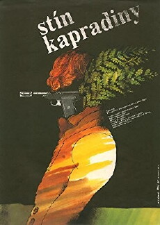 The Shadow of the Ferns (1986) - Stream Online