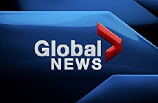 Global News (1974) - Stream Online