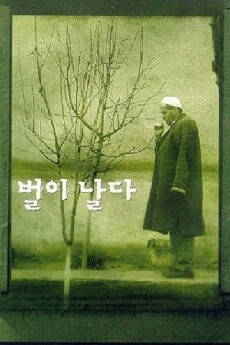 Parvaz-e zanbur (1998) - Stream Online