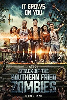 Attack of the Southern Fried Zombies (2017) - Stream Online