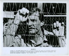The Forgotten Man (1971) - Stream Online