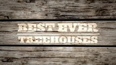 Best Ever Treehouses (2013) - Stream Online