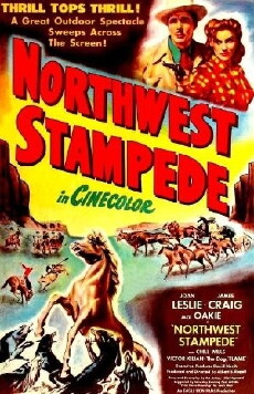 Northwest Stampede (1948) - Stream Online