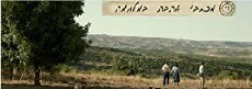 Love Letters from the War (2014) - Stream Online