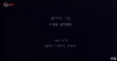 Rose Water from Port Said (1972) - Stream Online