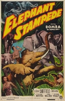 Elephant Stampede (1951) - Stream Online