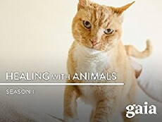 Healing with Animals (2002) - Stream Online