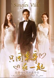 Singles Villa (2015) - Stream Online