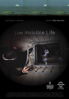 A Vida Invisível (2013) - Stream Online