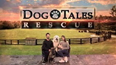 Dog Tales Rescue (2018) - Stream Online