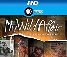My Wild Affair (2014) - Stream Online