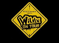 Wild 'N on Tour (2016) - Stream Online