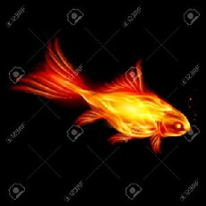 A Goldfish of the Flame (2010) - Stream Online