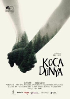 Big Big World (2016) - Stream Online