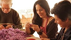 From Spain with Love: With Annie Sibonney (2011) - Stream Online