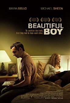Beautiful Boy (2010) - Stream Online