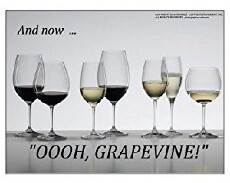 Oooh, Grapevine! (2017) - Stream Online